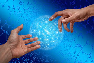 ac米兰官网首页-德国仰泳项目技术稳定提升，德国仰泳项目技术稳定提升方案