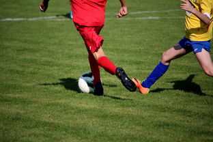 米兰体育-中国足球青训计划支持地方足球发展，中国足球青训政策